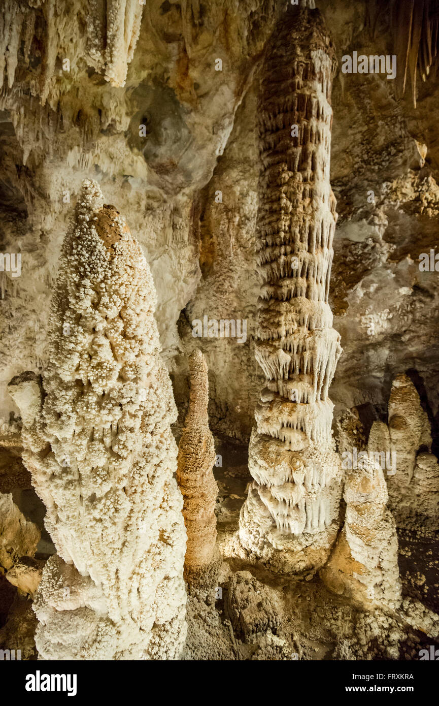 Grotte di Toirano Toirano, Provincia di Savona Liguria, Italia Foto Stock