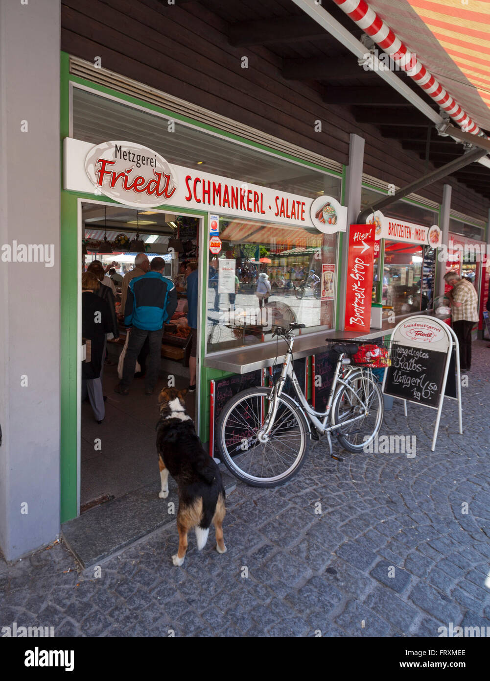 Cane di fronte ad un negozio di macellaio, Viktualienmarkt, Monaco di Baviera, Baviera, Baviera, Germania Foto Stock