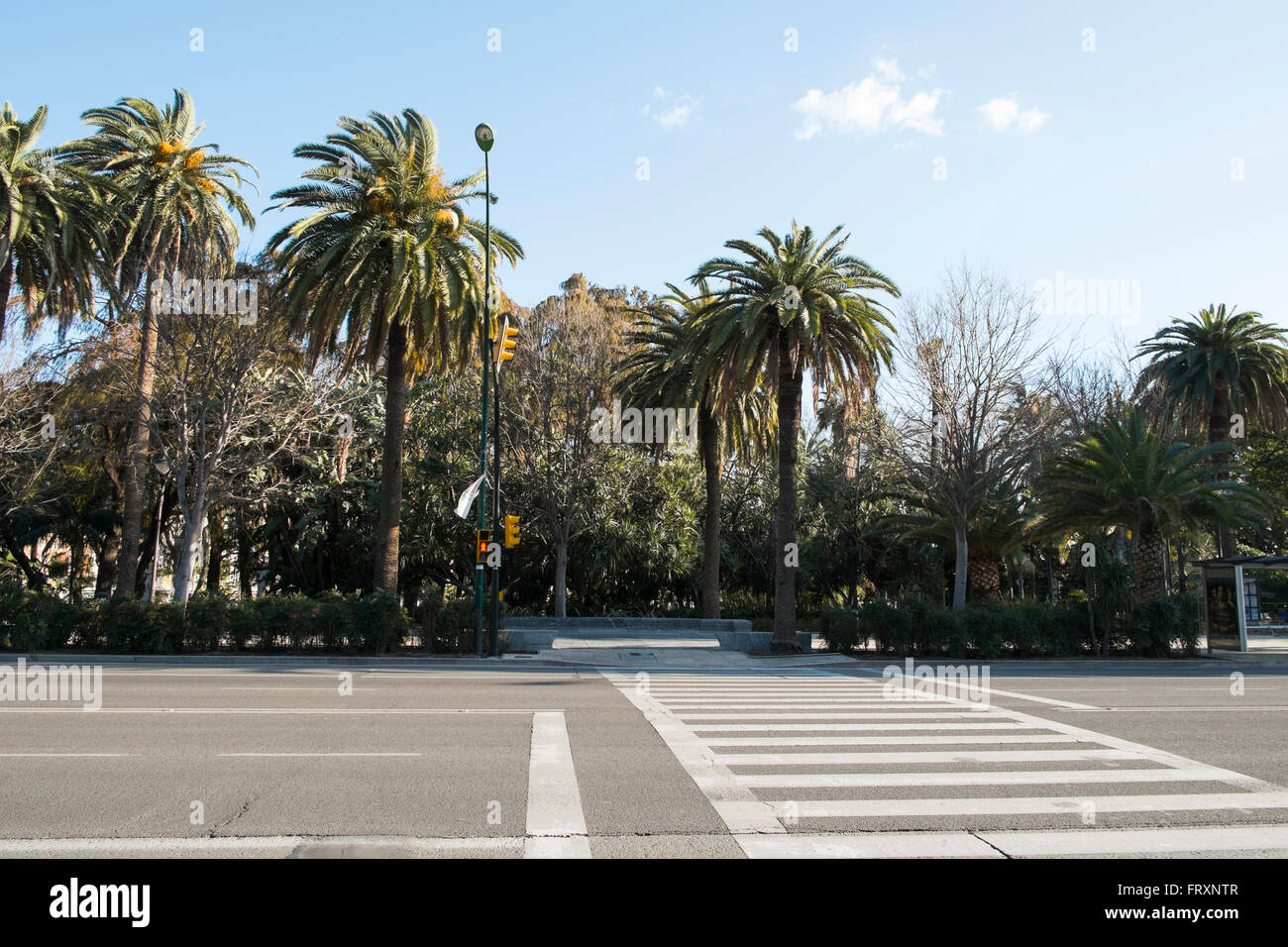 Paseo del Parque. Malaga. Foto Stock