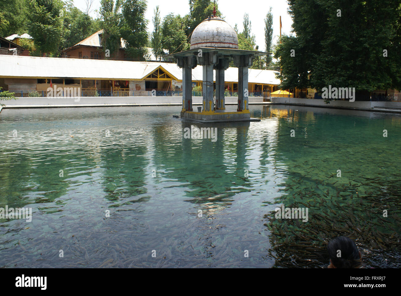 Stagno in locali di Gurudwara Nanak Dev Ji, Mattan, Anantnag, Kashmir India Foto Stock