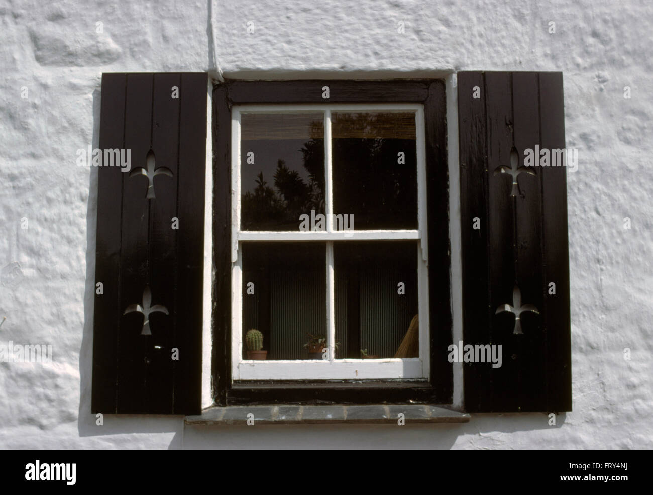 Close-up di nero ante dipinte su una finestra del cottage Foto Stock