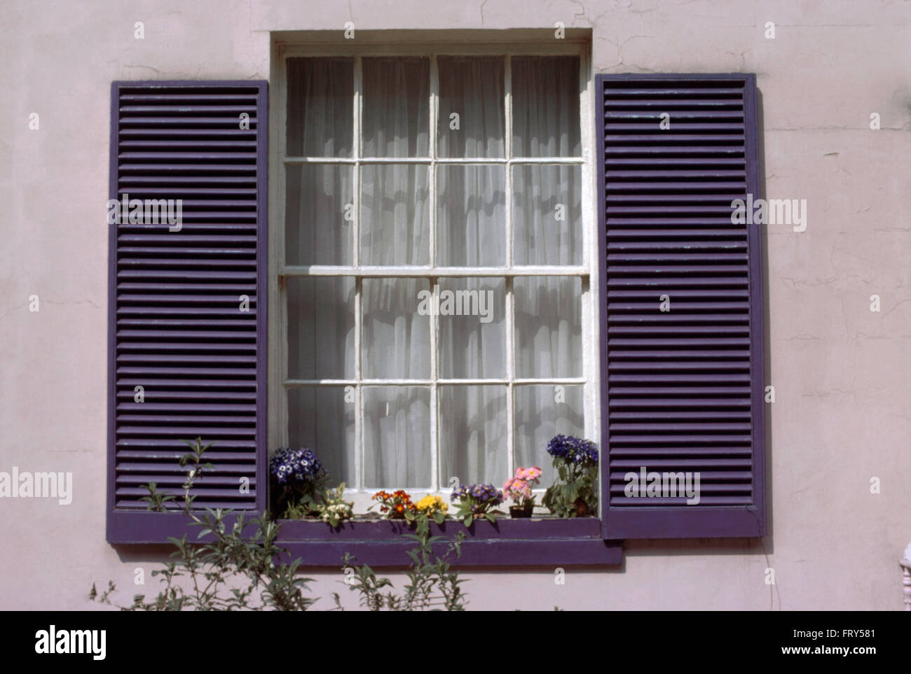 Close-up di un cottage con finestra viola persiane louvre Foto Stock