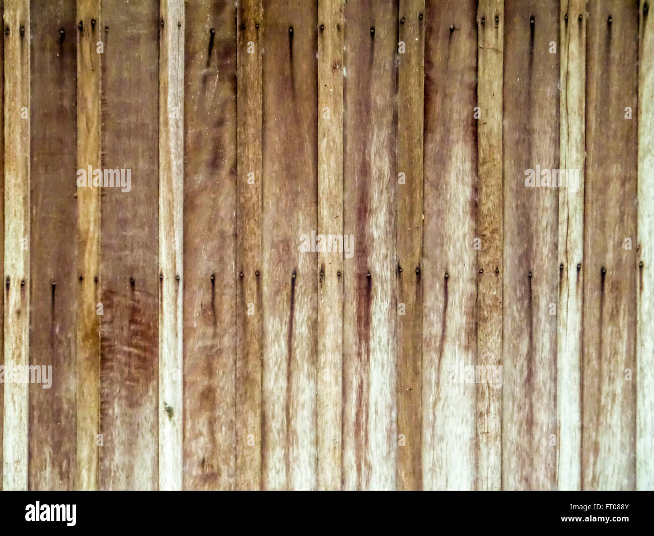 Verticali in legno e chiodi horizental linea su sfondo di superficie Foto Stock