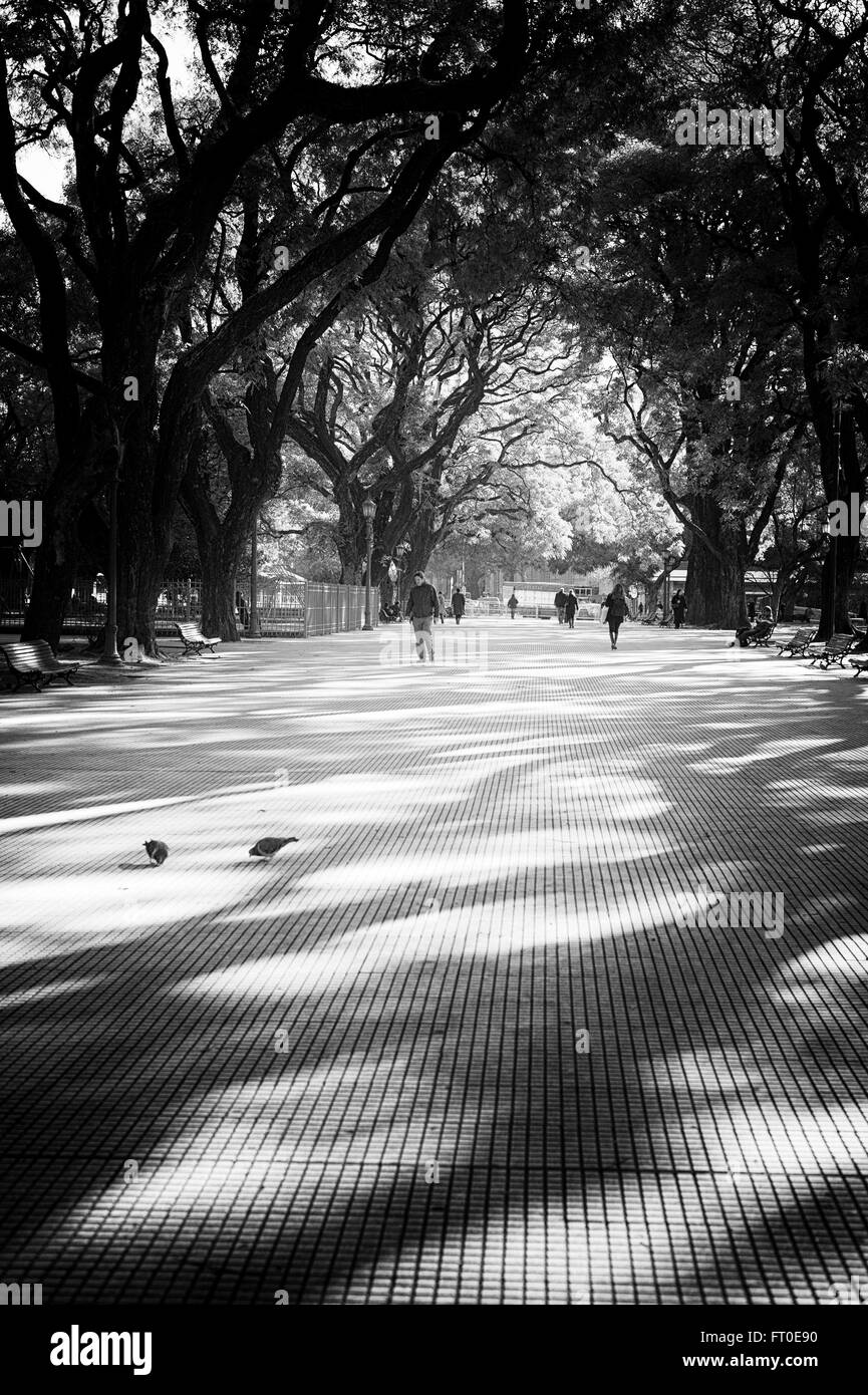 Parco urbano, Buenos Aires Foto Stock