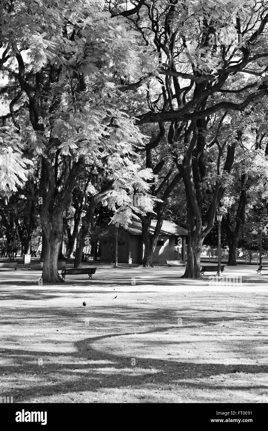 Park, Buenos Aires Foto Stock