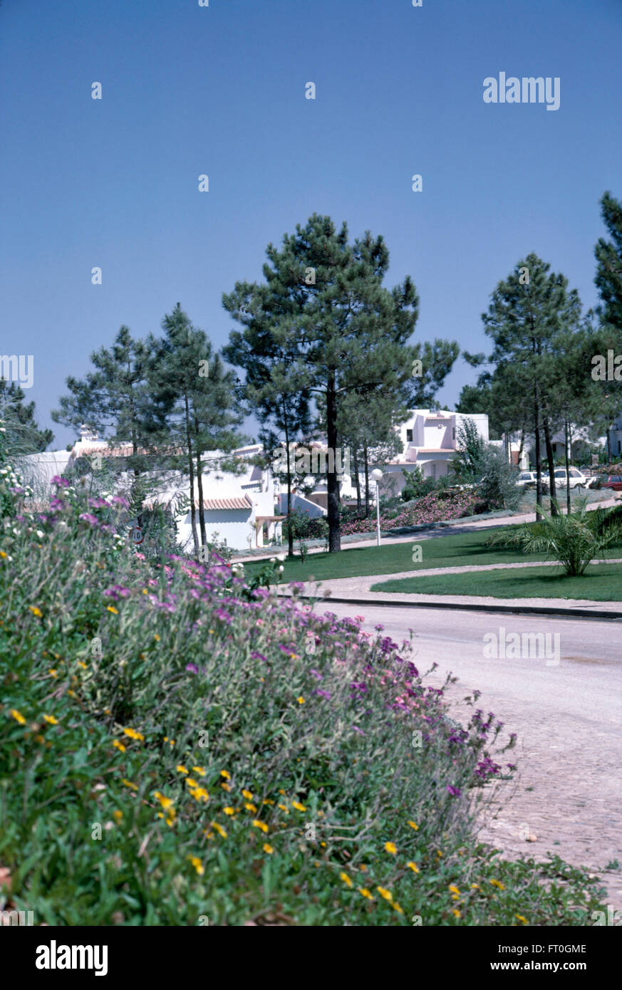Vista di alberi di pino in spagnolo un villaggio vacanze con ville bianche Foto Stock