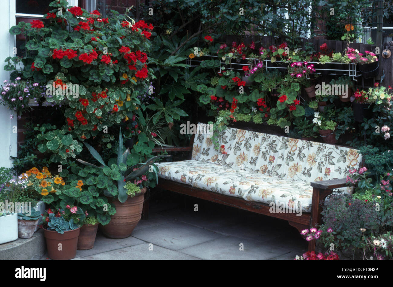 Gerani in vasi intorno e al di sopra di una panca in legno con un cuscino a motivi geometrici su un patio degli anni settanta Foto Stock