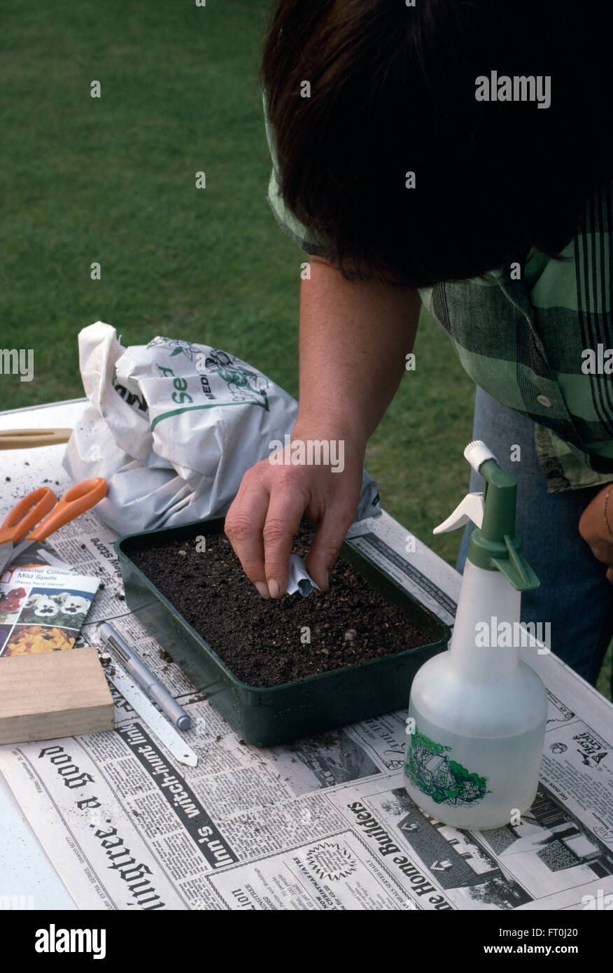 Close-up di un giardiniere piantare i semi in un vassoio di plastica Foto Stock