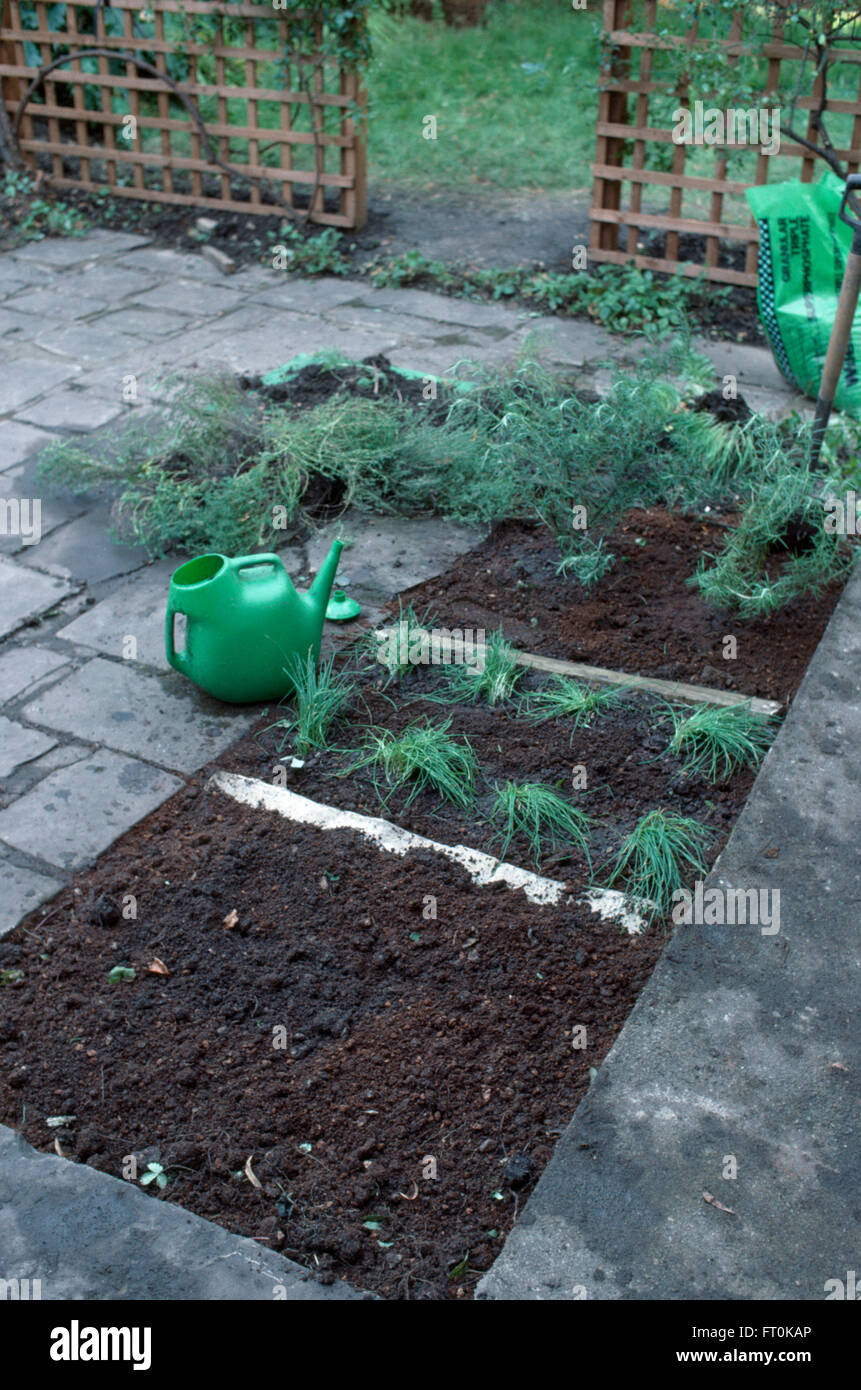 Green Annaffiatoio in plastica accanto a piante in fatto di recente letto in un giardino in fase di ristrutturazione Foto Stock