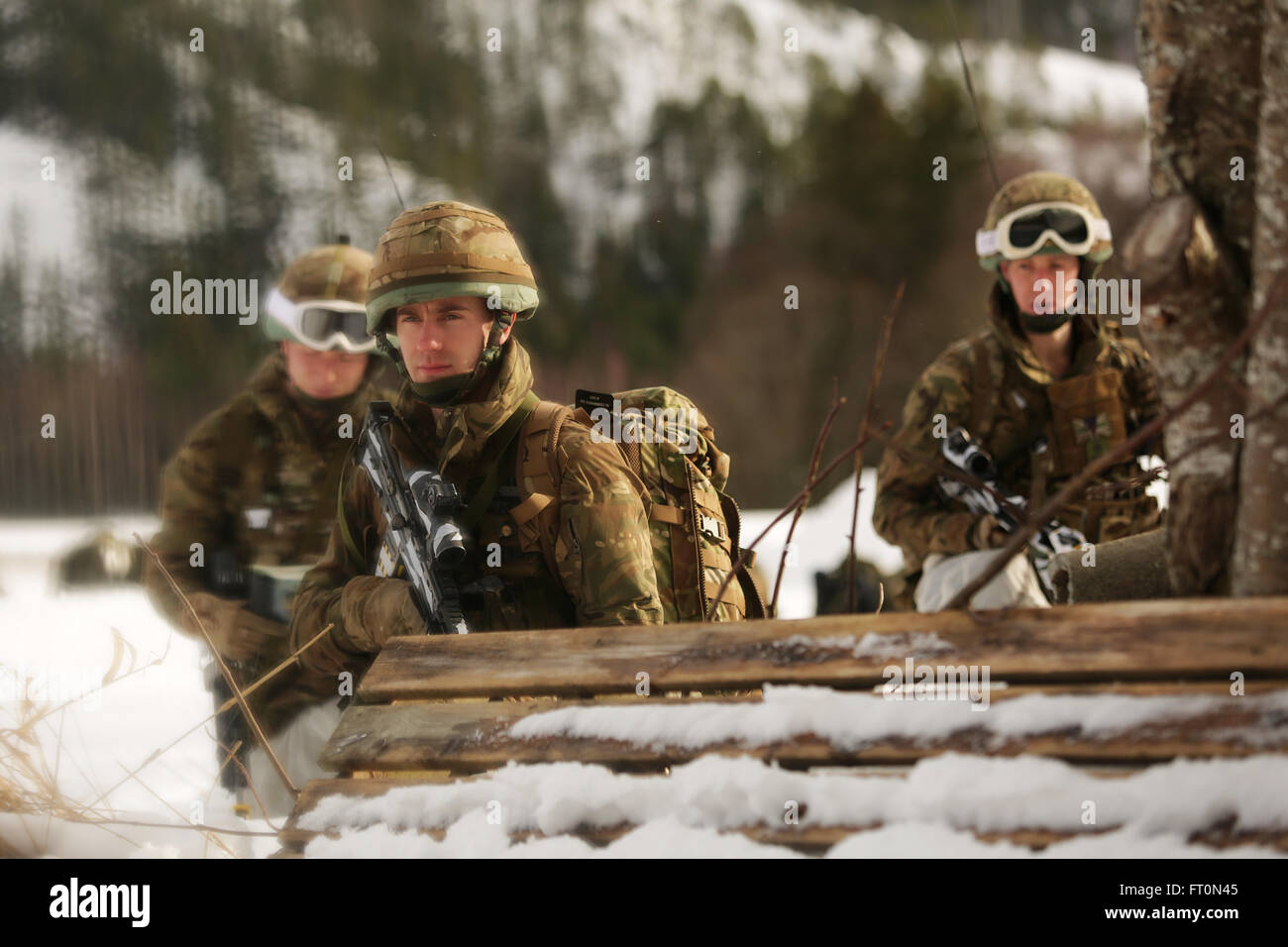 British Royal Marine Commando faccia nemico immediato contatto dopo essere stato inserito dalla U.S. Marine Corps CH-53 elicotteri in prossimità di Namsos, Norvegia. La truppa rinforzata di consegna azione offensiva a prendere un ponte locale identificato come critico per il funzionamento durante una formazione sul campo esercizio come una parte di esercizio di risposta a freddo 2016. Risposta a freddo 16 migliora la capacità tra gli alleati della NATO e partner e crea una base per la futura cooperazione. Questo esercizio consente l'alleanza NATO per lavorare insieme e dimostrare il nostro impegno costante per la nostra difesa collettiva sotto th Foto Stock