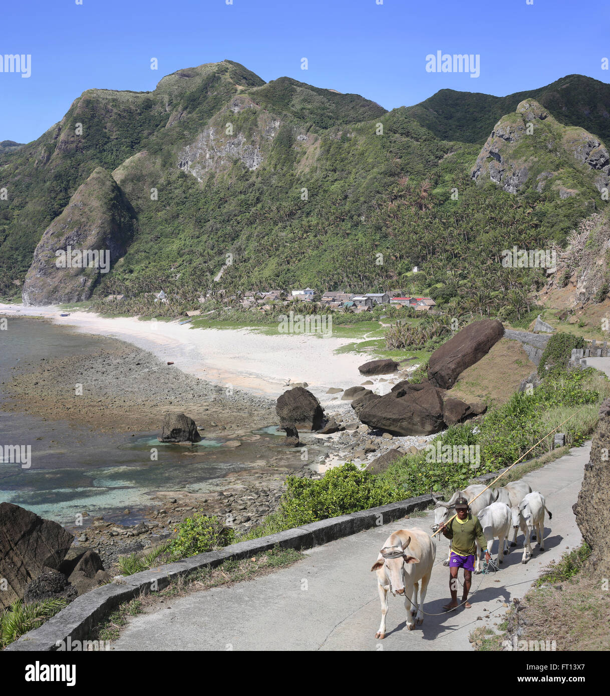 Villaggio Chavayan con cow herder e paesaggio, Sabtang Isola, Batanes, Filippine, Asia Foto Stock