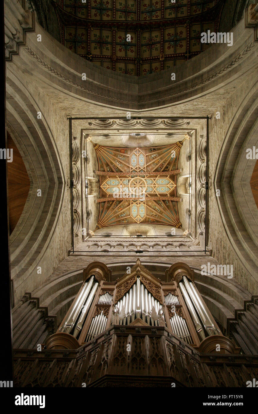 Worm'occhio dell interno della St David's Cathedral, Pembrokeshire, Galles Foto Stock