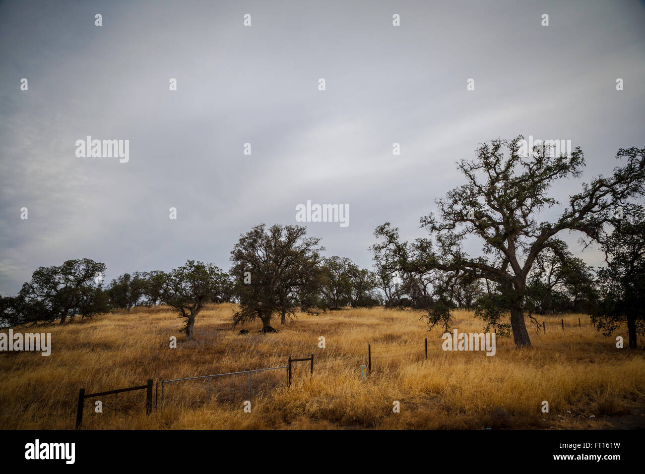 Visualizzare intorno a un County road nella California Meridionale. Foto Stock