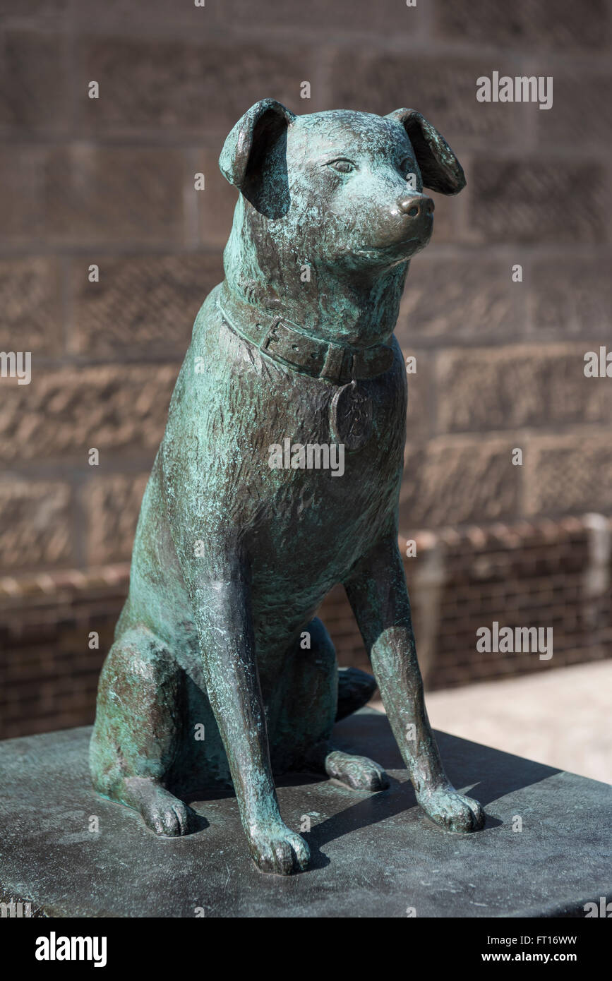 Statua di coraggiosa cane Bunchan Bunkou o al di fuori dell'Otaru Museum, Hokkaido, Giappone Foto Stock