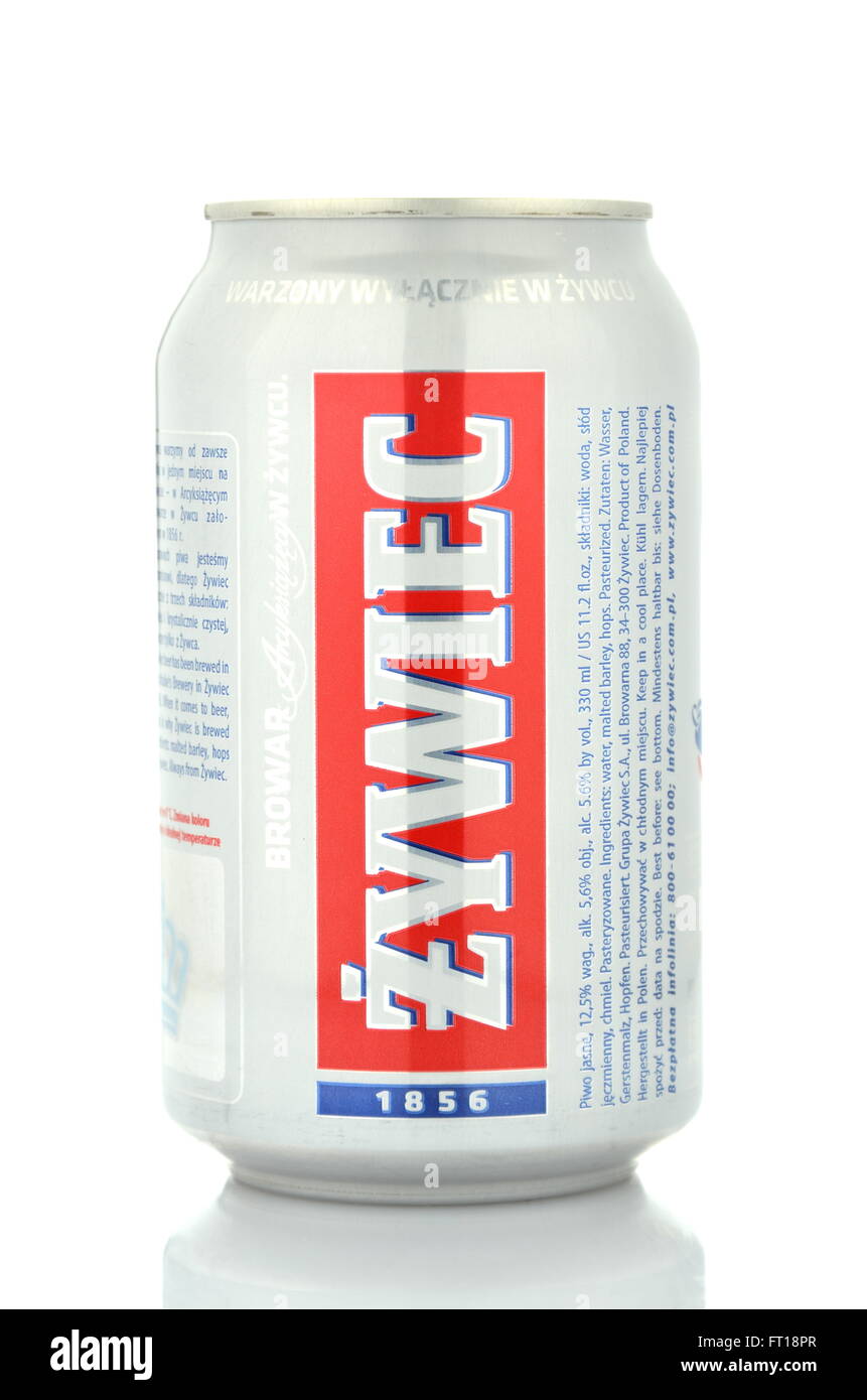 Zywiec birra isolato su sfondo bianco Foto Stock