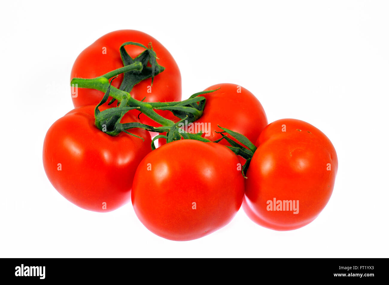 Grappolo di pomodori a grappolo (Lycopersicon esculentum) su sfondo bianco Foto Stock
