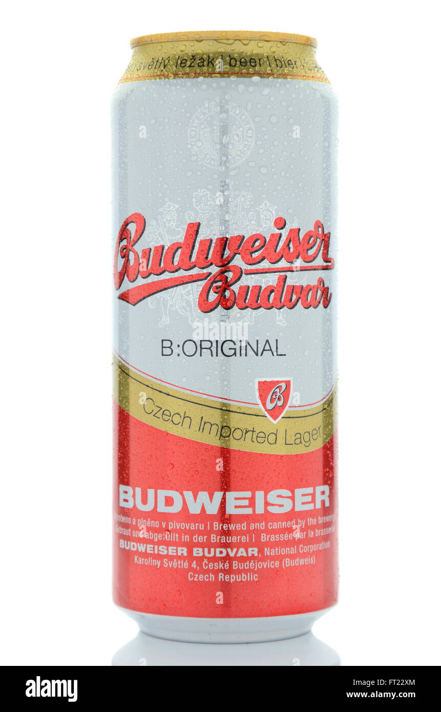 Lager Budweiser birra isolato su sfondo bianco. Foto Stock