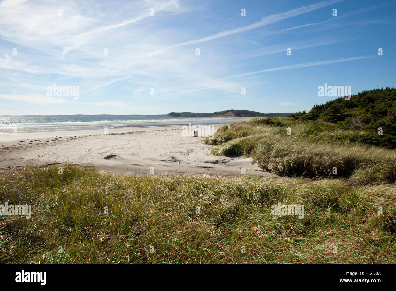 Grassy dune di sabbia in Nova Scotia Foto Stock