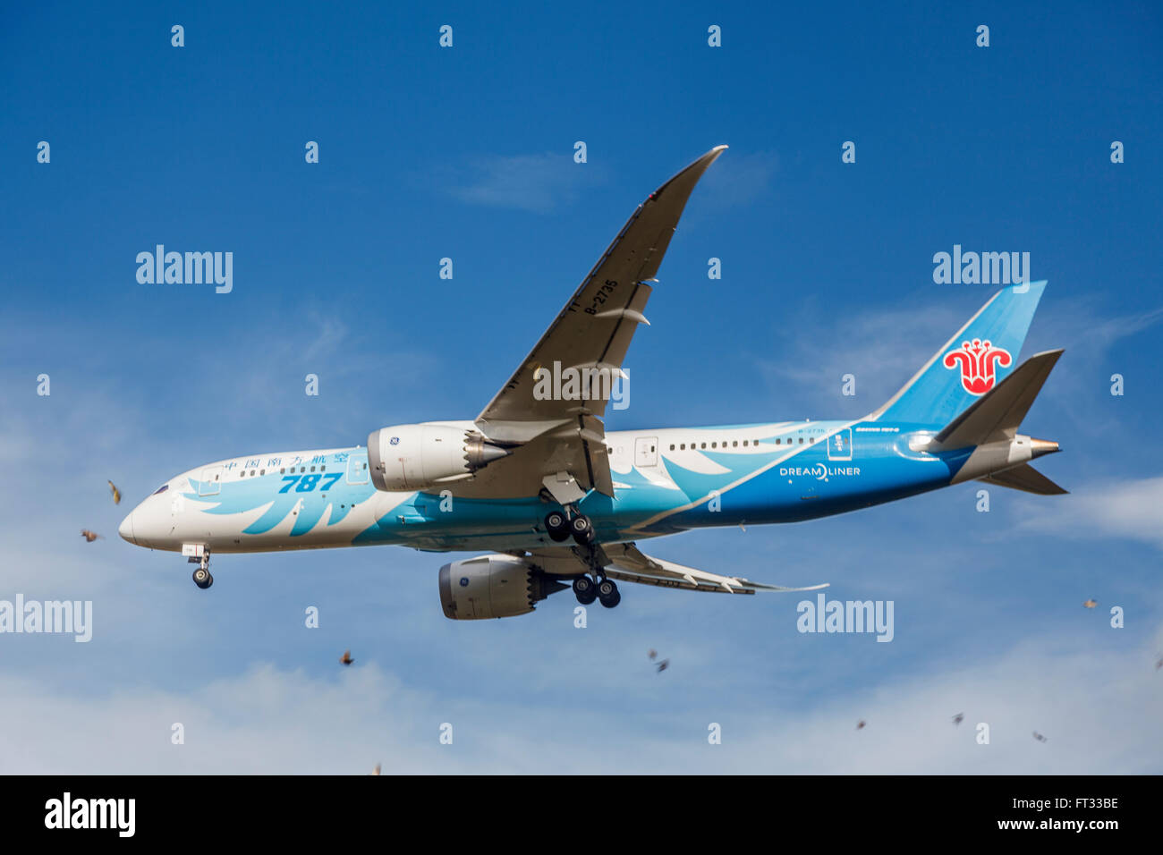 Gli uccelli,South China Airlines Boeing Dreamliner B787-9 sull approccio finale all aeroporto di CHC,Christchurch,Canterbury,Isola del Sud,Nuova Zelanda Foto Stock