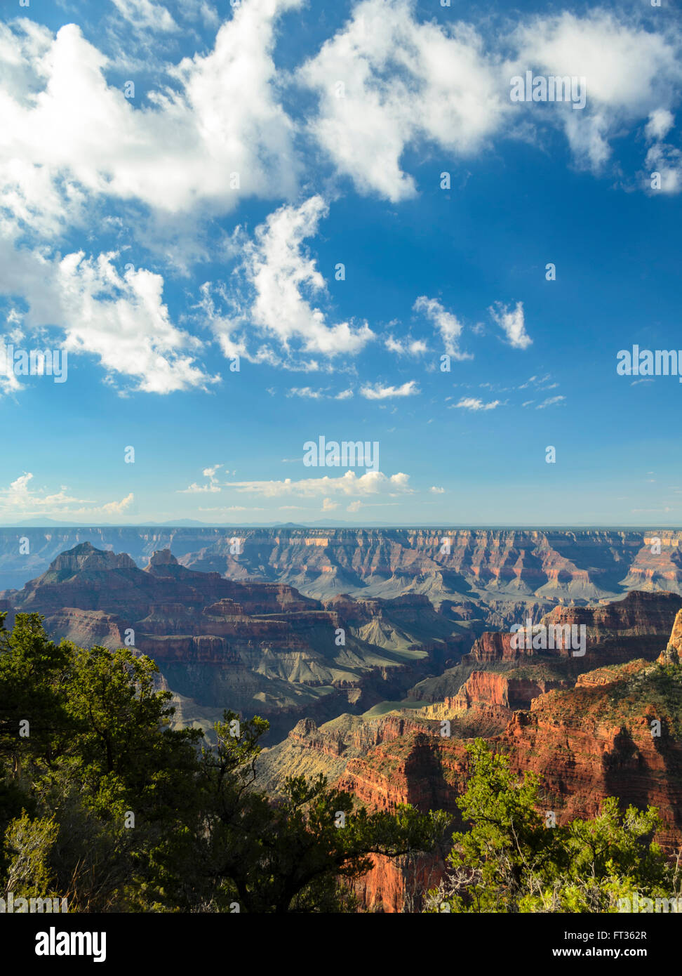 Guardando oltre il gran canyon con colorati in rosso e arancione scogliere sotto un cielo azzurro con soffici nuvole. Foto Stock