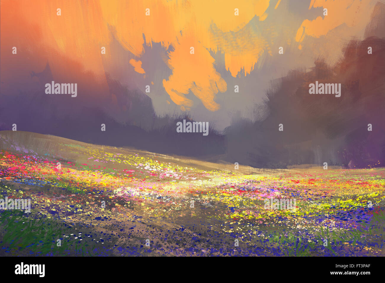 Fiori colorati in campo sotto le nuvole bello,pittura paesaggio Foto Stock