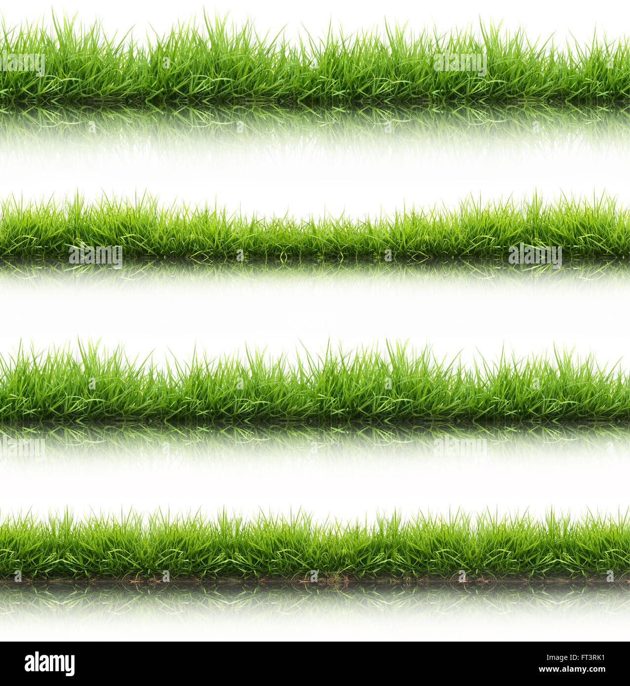 Molla di fresca erba verde isolato su sfondo bianco con acqua la riflessione Foto Stock