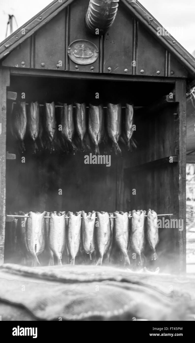 Camera fumatori con pesce Foto Stock