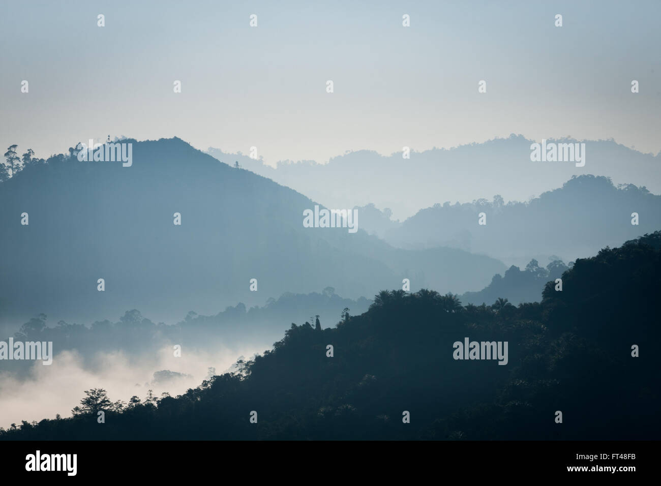 Early Morning mist sulle colline vicino alla zona Pitas di Sabah, Malesia Borneo Foto Stock