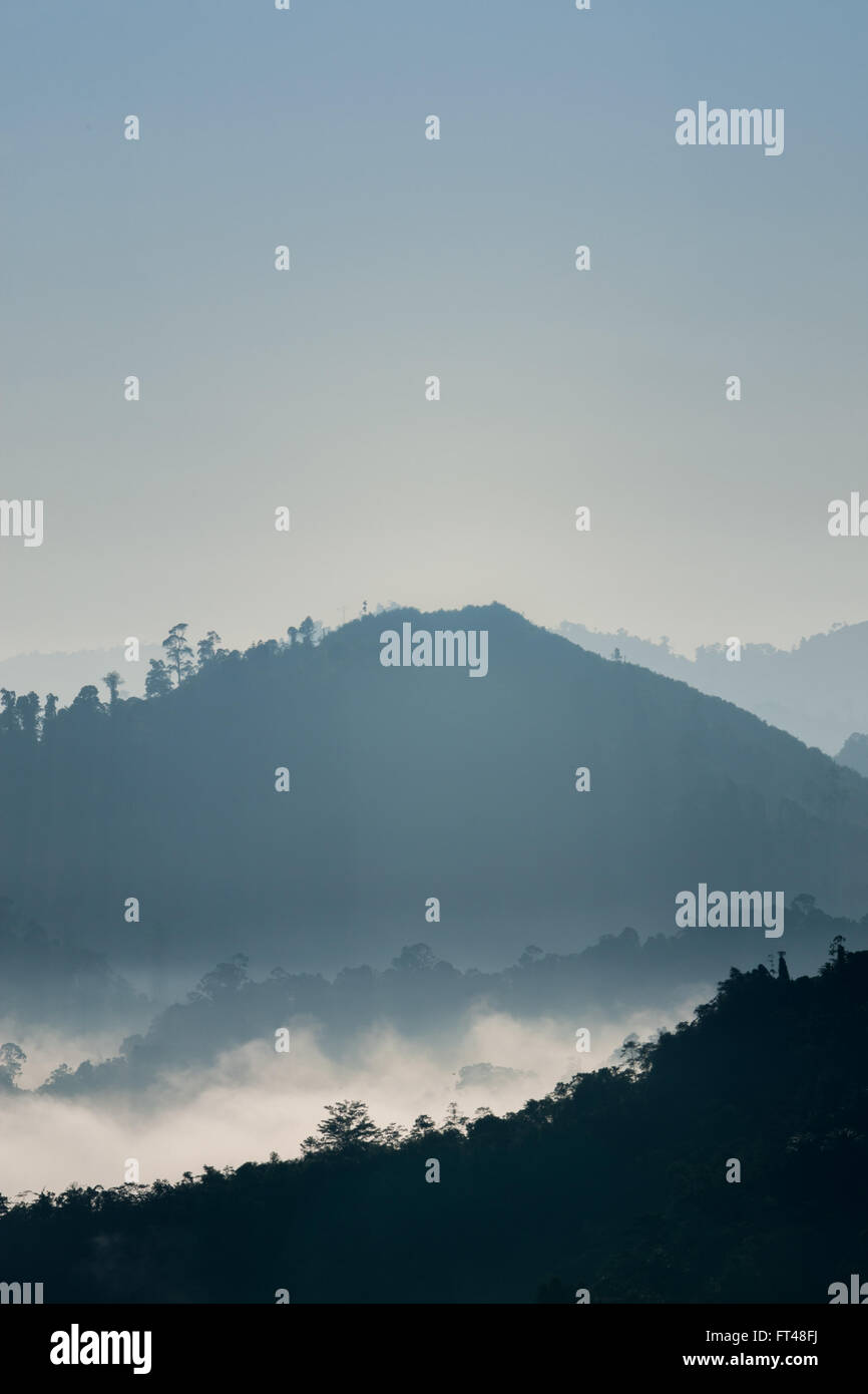 Early Morning mist sulle colline vicino alla zona Pitas di Sabah, Malesia Borneo Foto Stock