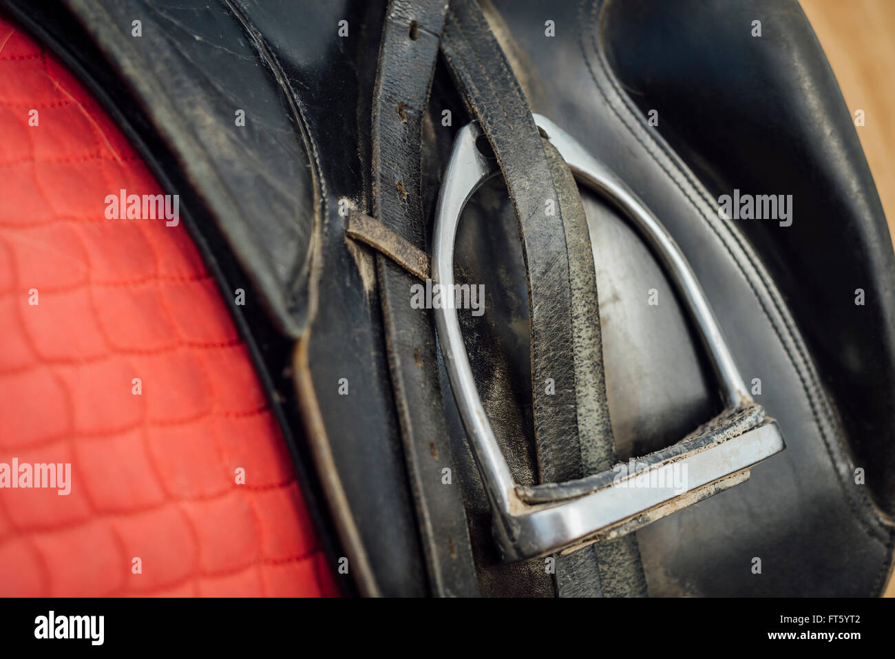 Sella in cuoio con staffa e un rosso saddlecloth sul retro di un fiordo norvegese cavallo al di fuori di un cavallo beriofe stabile un giro Foto Stock