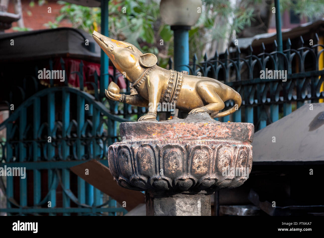 Il Nepal, Kathmandu. Una Megera, Ganesh è il mezzo di trasporto. Foto Stock