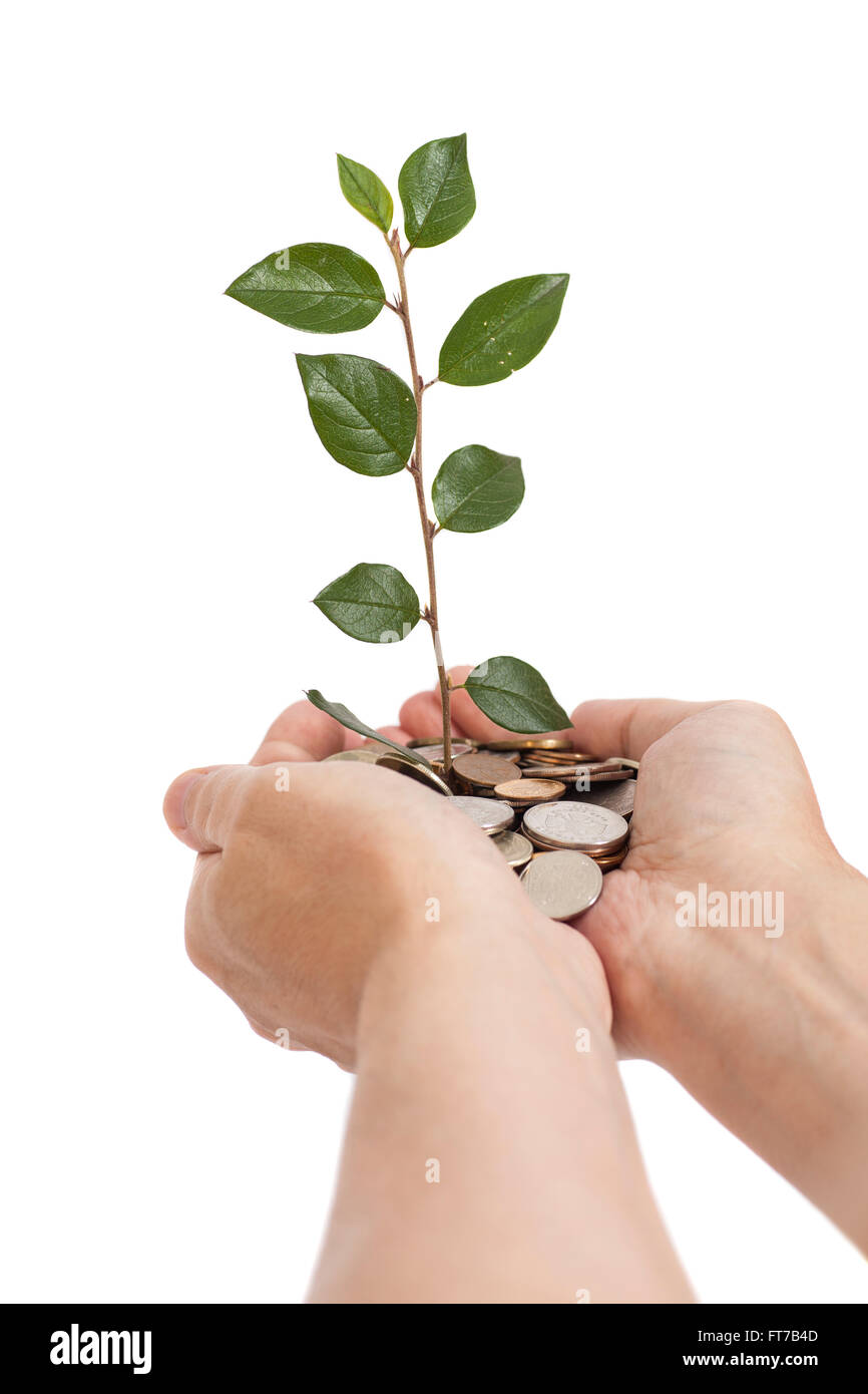 Mano azienda albero che cresce sulle monete .il risparmio di denaro Foto Stock