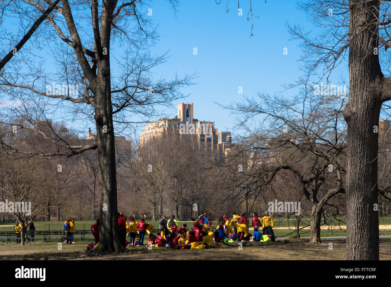 Scuola di alta classe scampagnate, Central Park, New York, Stati Uniti d'America Foto Stock