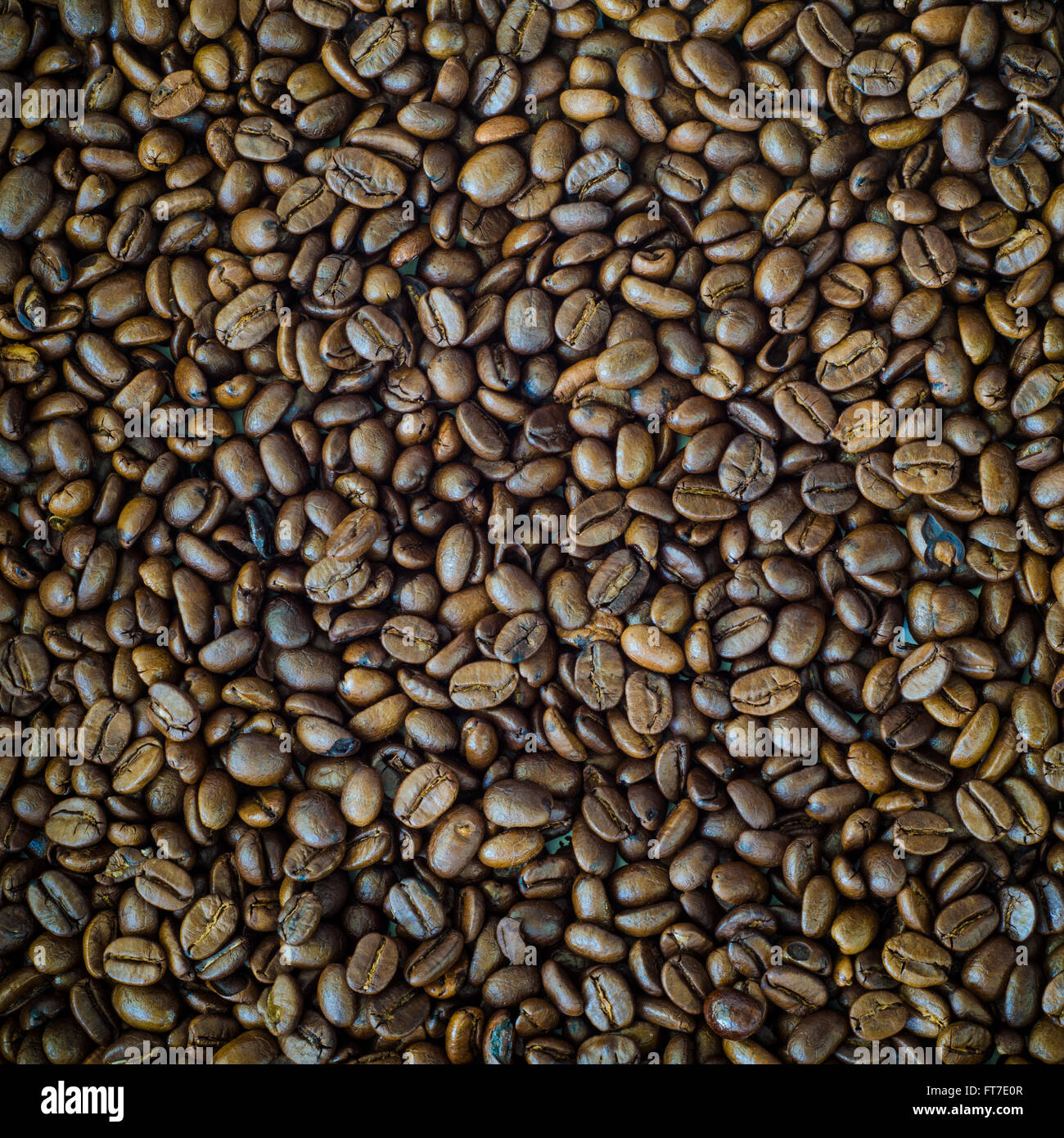 Chicchi di caffè tostati sfondo Foto Stock