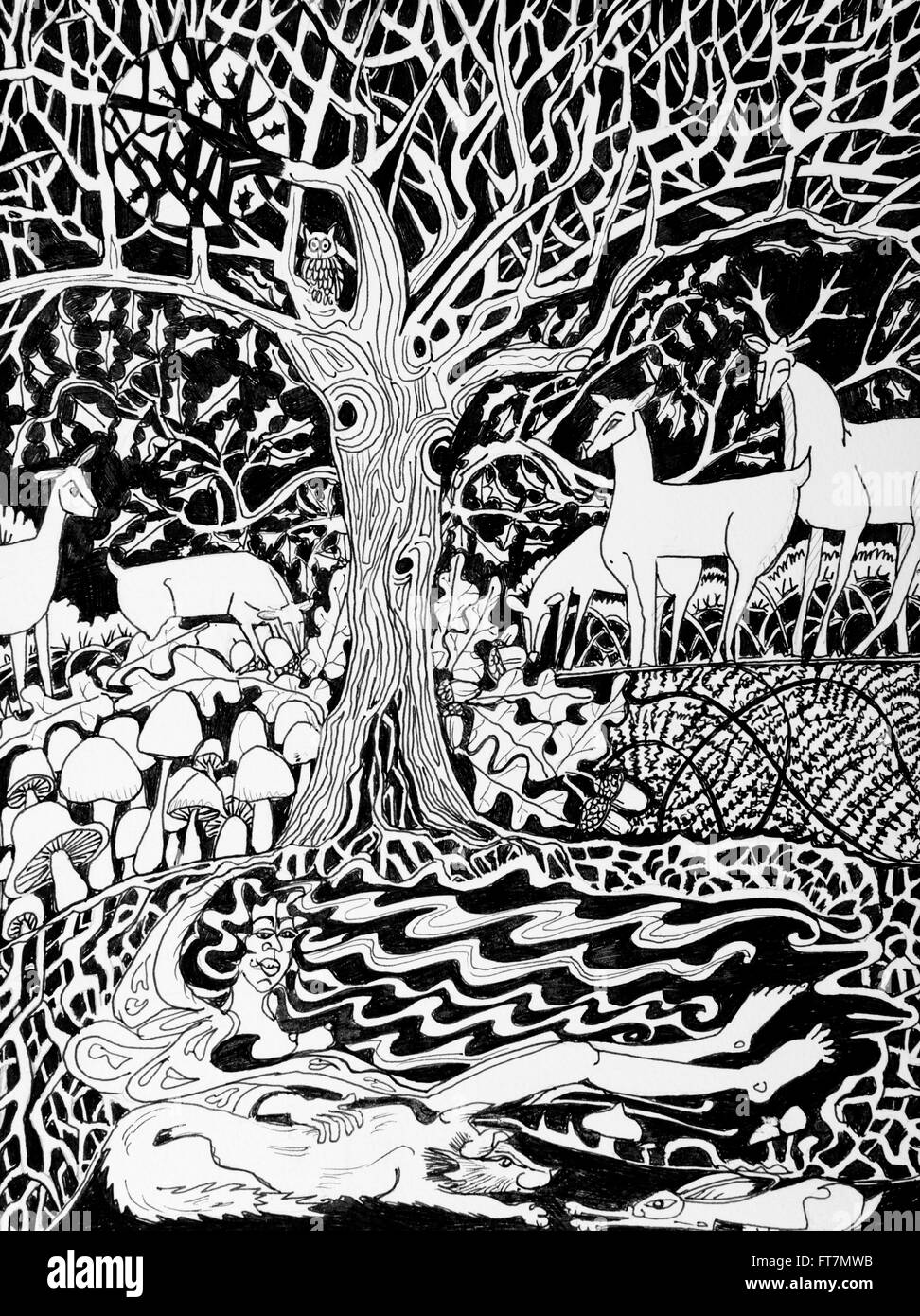 Madre Natura un disegno a inchiostro per artista Sergio Zahr Foto Stock