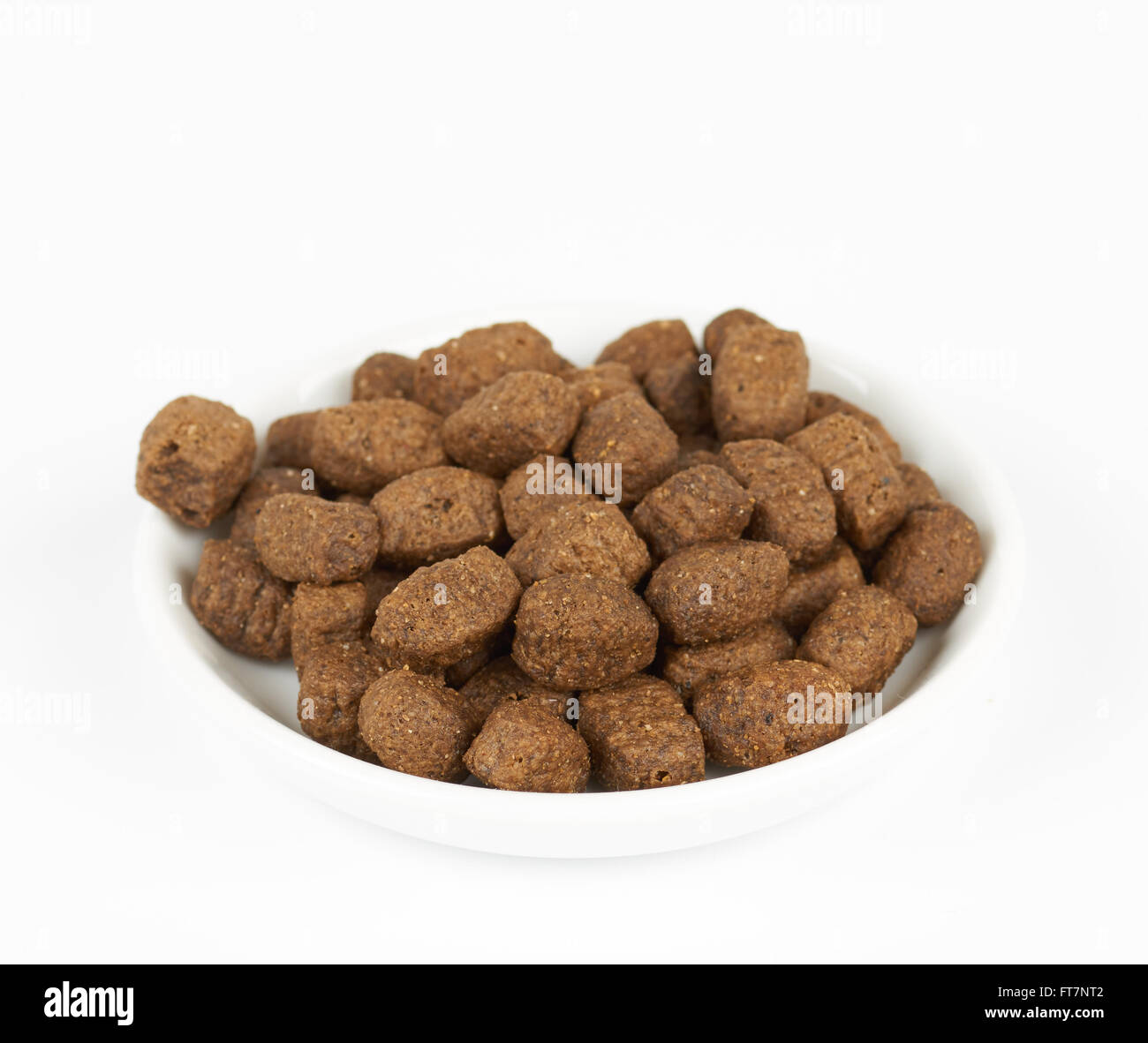 Il cibo per cani sulla piastra bianca su sfondo bianco Foto Stock