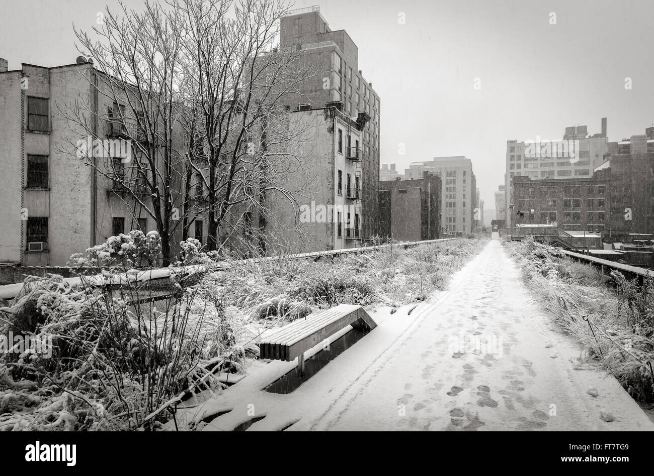 Bianco & Nero vista della linea alta coperta di neve dopo la tempesta di neve in inverno. Chelsea, Manhattan New York City Foto Stock