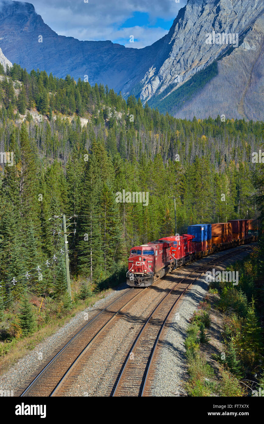 Canada, British Columbia, Yoho, 2014-09-27: treno merci passando attraverso yoho nationalpark sul suo modo di golden. Foto Stock