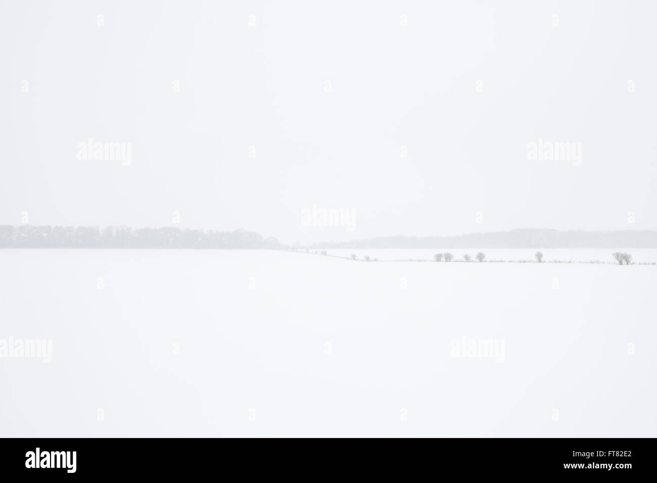 Campi coperti di uno strato di neve in questo fosco panorama inverni con debole grumi di alberi e linee di hedge shwoing attraverso la campagna congelati. Foto Stock