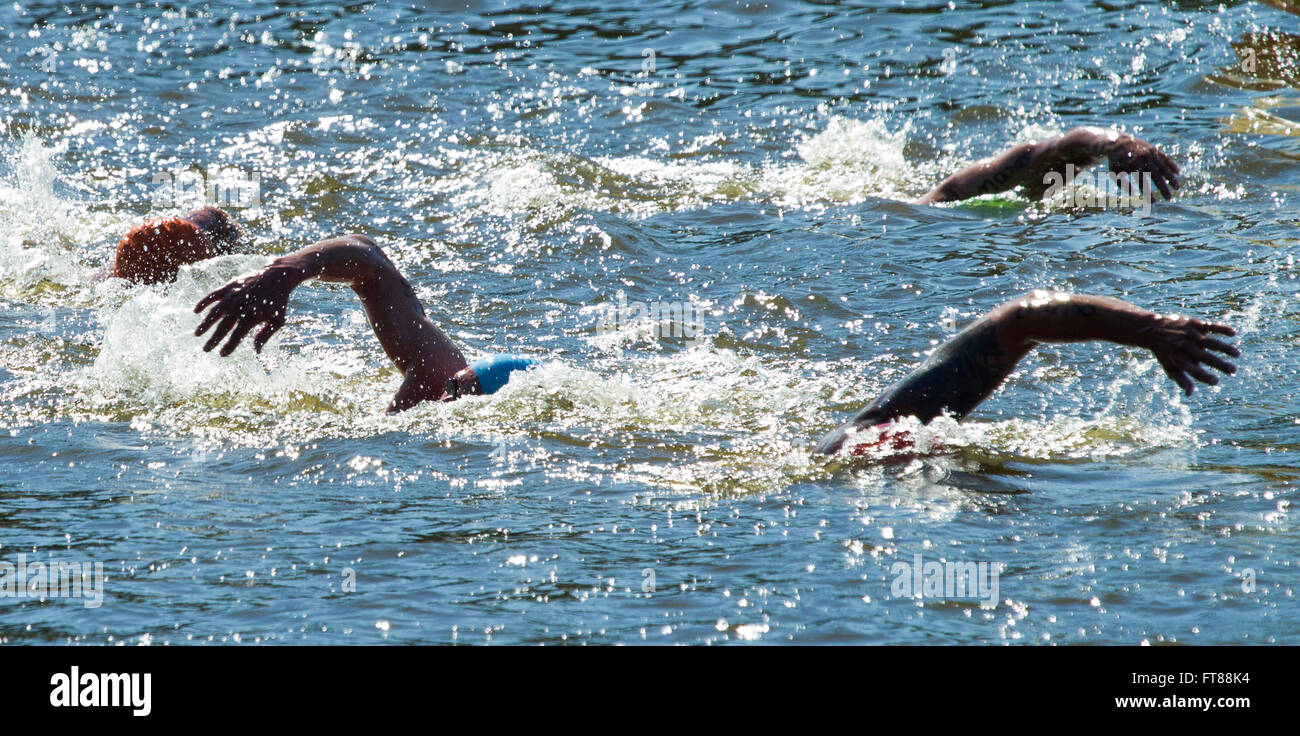 Molti funzionari di CBP ha partecipato in tutto il mondo la polizia e i vigili del fuoco aperto giochi acqua nuotare che consisteva di due giri intorno al lago di Audubon per un totale di due miglia in Reston Virginia. Foto di James Tourtellotte. Foto Stock