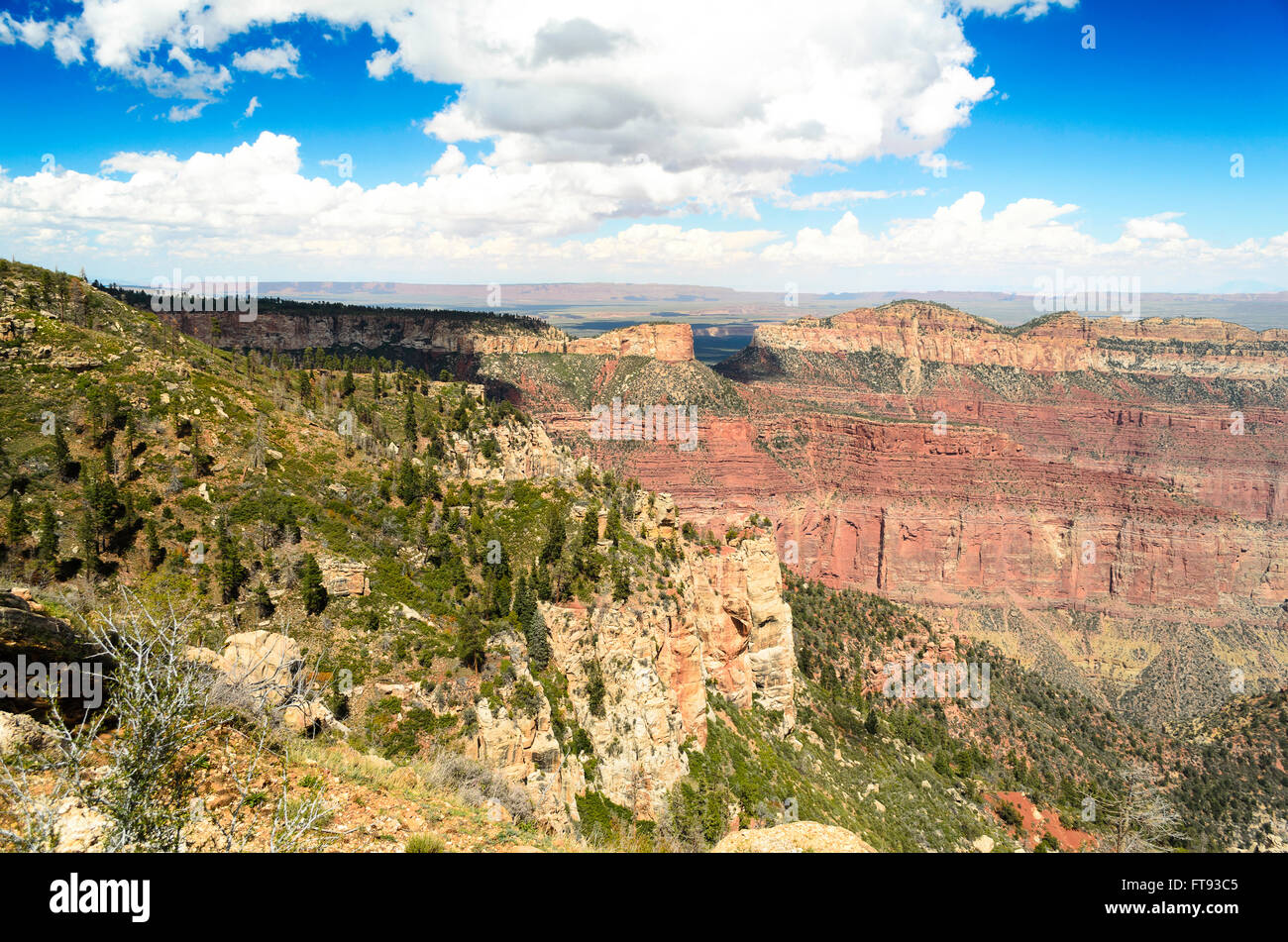 Affacciato sul parco nazionale del Grand Canyon e verdi colline, arancio rossastro scogliere sotto il cielo blu con soffici nuvole. Foto Stock