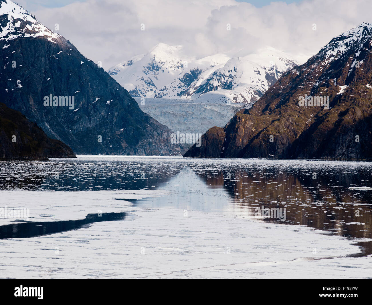 Tracy Arm Fjord e Sawyer Glacier, Alaska Foto Stock