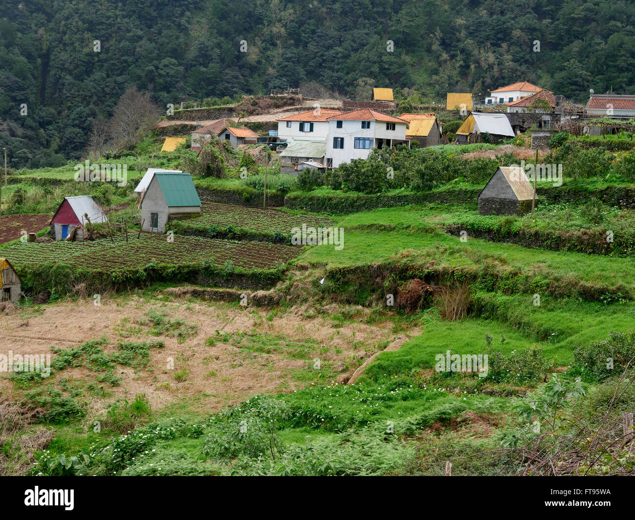 Il terrazzamento dei campi per crescere raccolti, Madera, Marzo 2016 Foto Stock