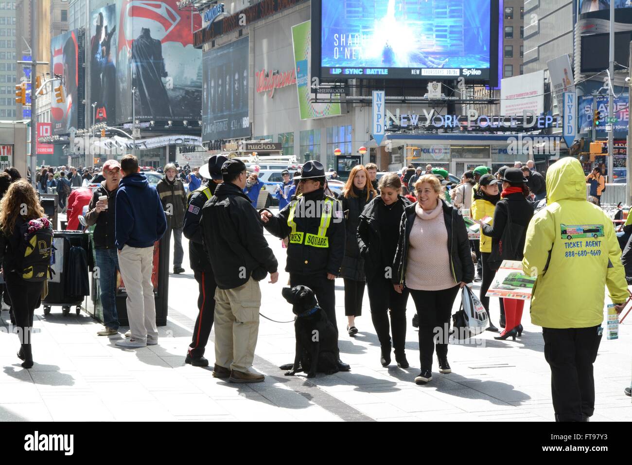 La città di New York, Stati Uniti d'America. Il 24 marzo 2016. Cani poliziotto distribuito a Times Square a seguito dei recenti attentati di Bruxelles. ©Marc Ward/Alamy Live News Foto Stock