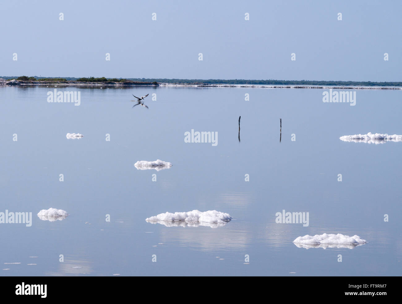 Stagni di evaporazione con il pellicano. Sale galleggianti di schiuma come nuvole sulla superficie blu di diluire lo stagno di evaporazione. Un pellicano vola Foto Stock
