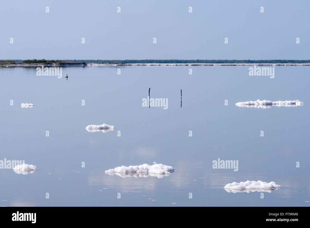 Stagni di evaporazione con il pellicano. Sale galleggianti di schiuma come nuvole sulla superficie blu di diluire lo stagno di evaporazione. Un pellicano galleggianti Foto Stock