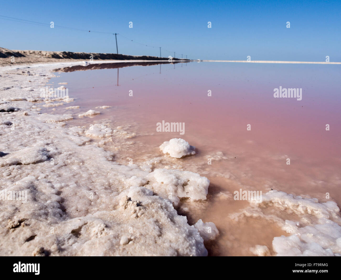 La Raccolta Del Sale Sul Bordo Di Un Laghetto Di Evaporazione Il Sale Facendo Evaporare Stagni Candelette Di Uno Strano Colore Arancione Dovuta A Batteri Foto Stock Alamy
