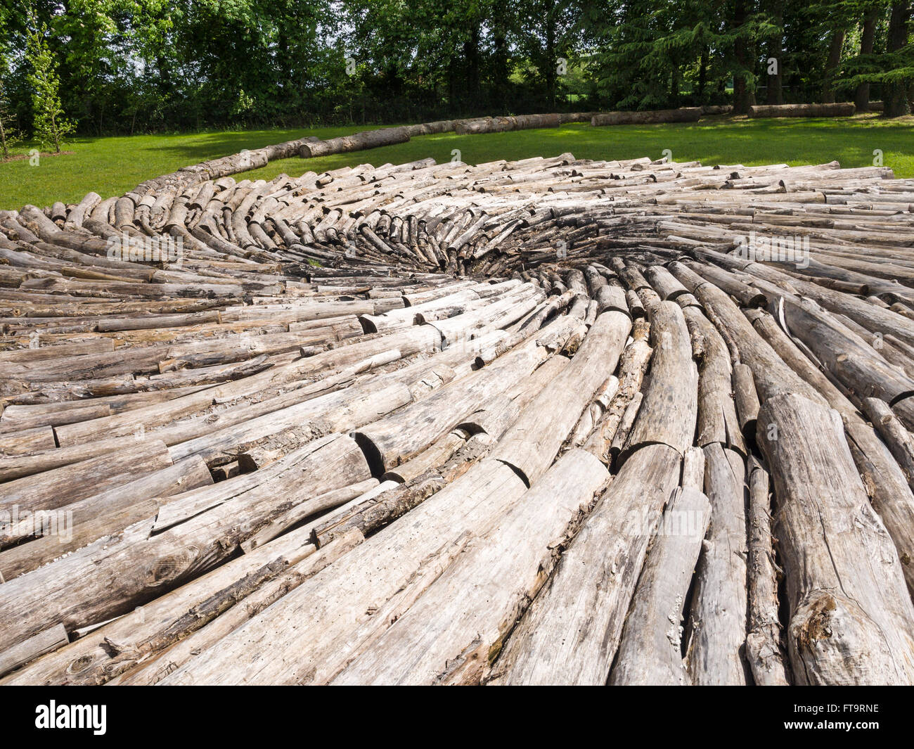 Pool di carbonio, un paesaggio scultura di Chris Drury. Costituito da registri disposti a spirale la scultura è come una vasca idromassaggio Foto Stock