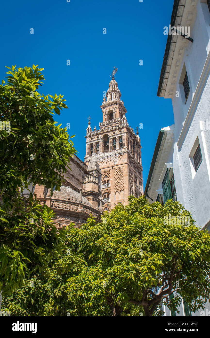 La Giralda Foto Stock