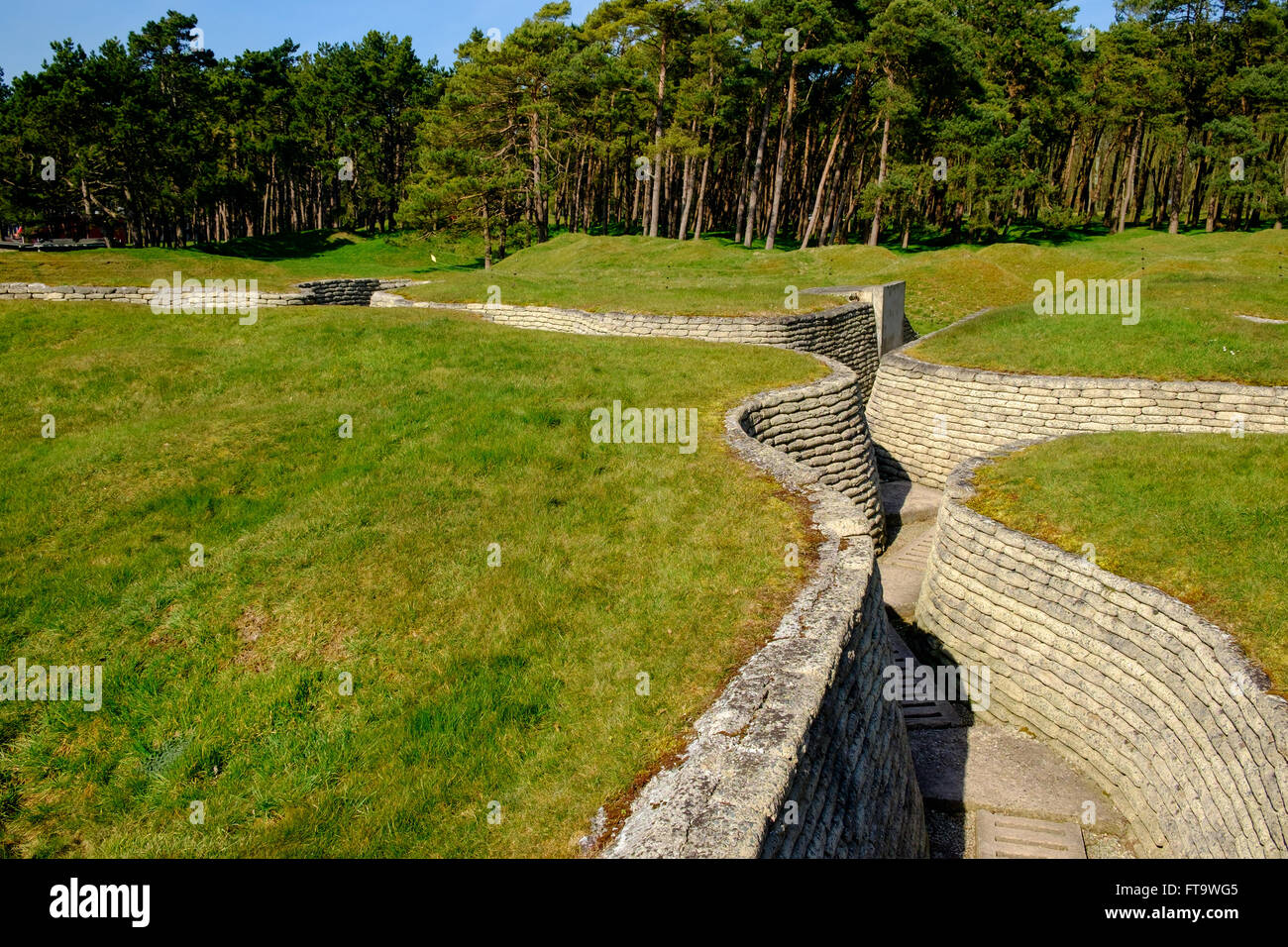 Ripristinata la guerra mondiale I trench a Vimy Ridge, Francia, Europa Foto Stock